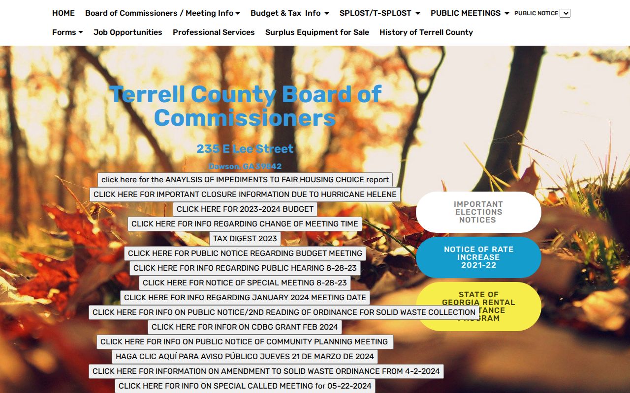 Terrell County criminal history official services directory