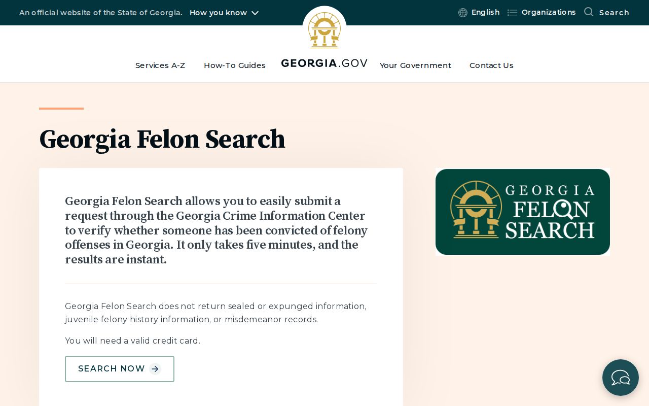 Terrell County criminal history Georgia felony search guidance